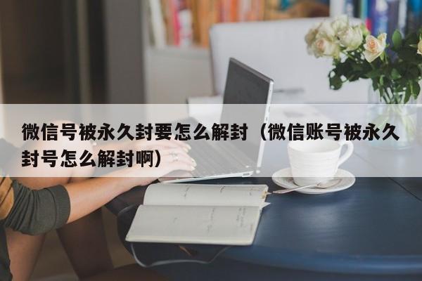 微信辅助-微信号被永久封要怎么解封（微信账号被永久封号怎么解封啊）(1)