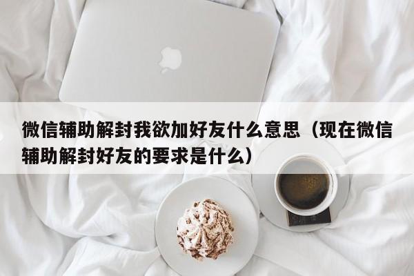 微信辅助-微信辅助解封我欲加好友什么意思（现在微信辅助解封好友的要求是什么）(1)