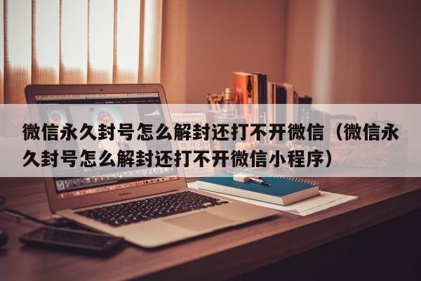 微信注册-微信永久封号怎么解封还打不开微信（微信永久封号怎么解封还打不开微信小程序）(1)