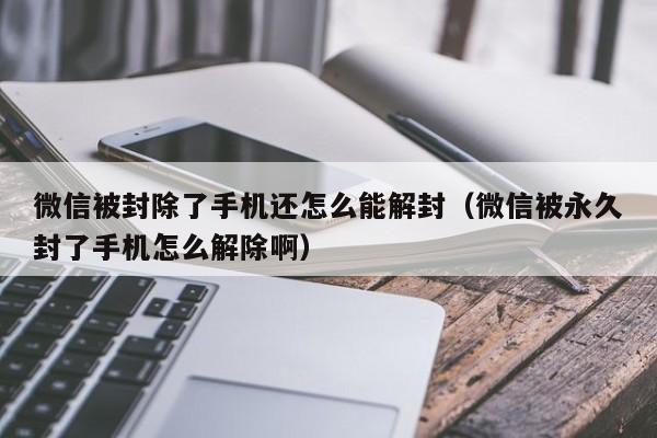 微信辅助-微信被封除了手机还怎么能解封（微信被永久封了手机怎么解除啊）(1)