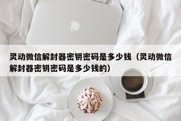 微信注册-灵动微信解封器密钥密码是多少钱（灵动微信解封器密钥密码是多少钱的）(1)