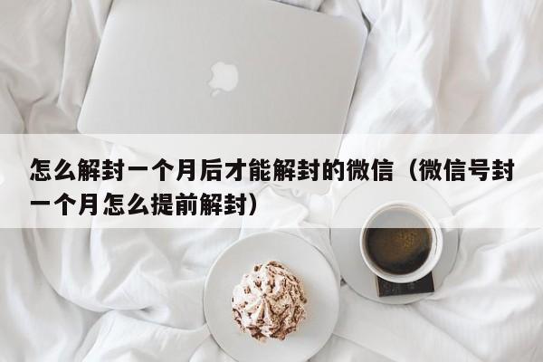 微信辅助-怎么解封一个月后才能解封的微信（微信号封一个月怎么提前解封）(1)