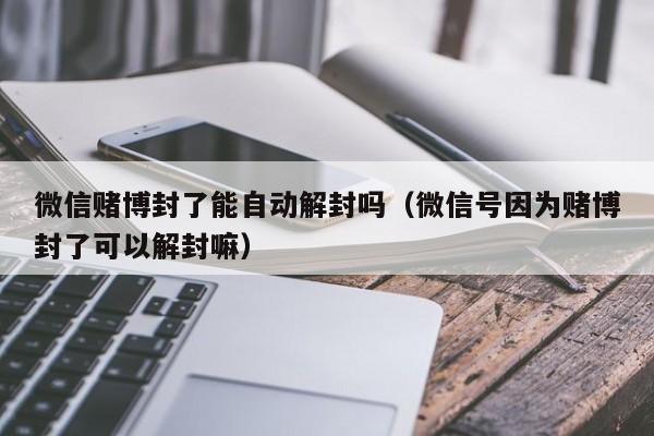 微信解封-微信赌博封了能自动解封吗（微信号因为赌博封了可以解封嘛）(1)