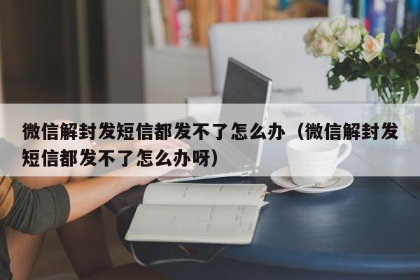 微信注册-微信解封发短信都发不了怎么办（微信解封发短信都发不了怎么办呀）(1)