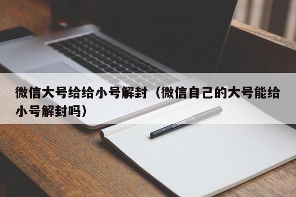 微信辅助-微信大号给给小号解封（微信自己的大号能给小号解封吗）(1)