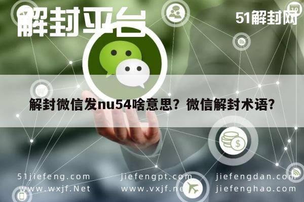 微信解封-解封微信发nu54啥意思？微信解封术语？(1)