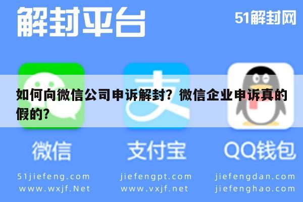 微信辅助-如何向微信公司申诉解封？微信企业申诉真的假的？(1)